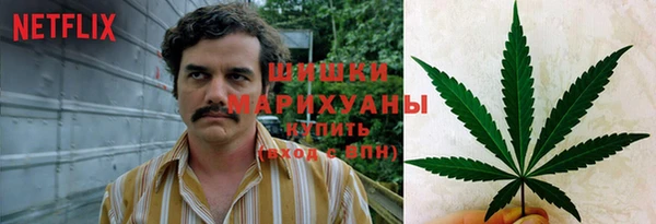 прущие крисы Белокуриха