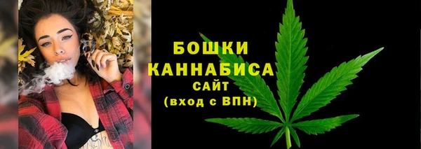 прущие крисы Белокуриха