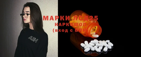 ПСИЛОЦИБИНОВЫЕ ГРИБЫ Белоозёрский