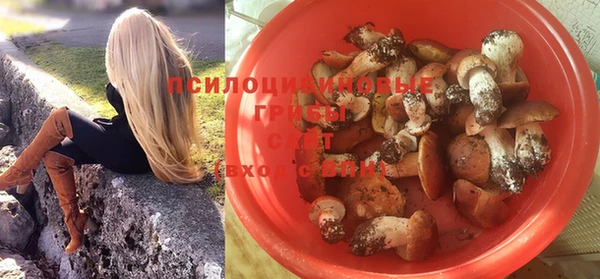 прущие крисы Белокуриха