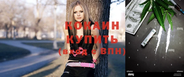 ПСИЛОЦИБИНОВЫЕ ГРИБЫ Белоозёрский