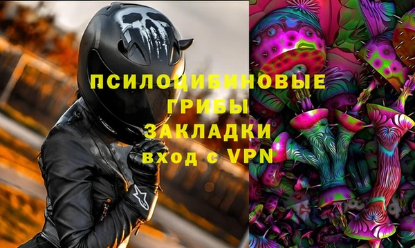 ПСИЛОЦИБИНОВЫЕ ГРИБЫ Белоозёрский