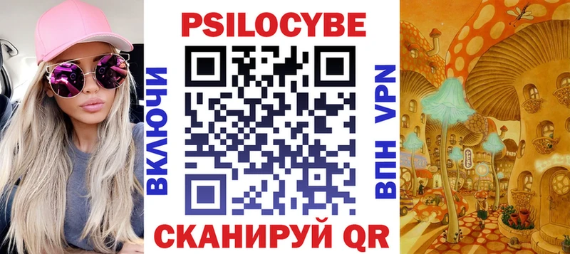 Псилоцибиновые грибы Cubensis Звенигово