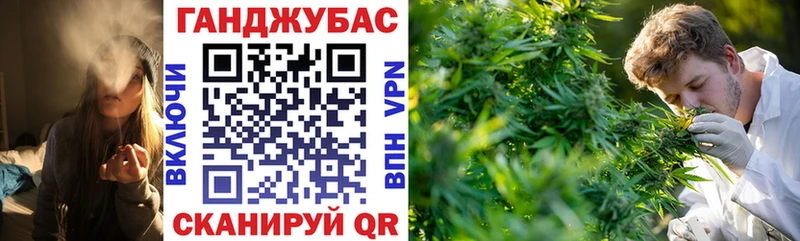 площадка состав  Звенигово  Канабис планчик 